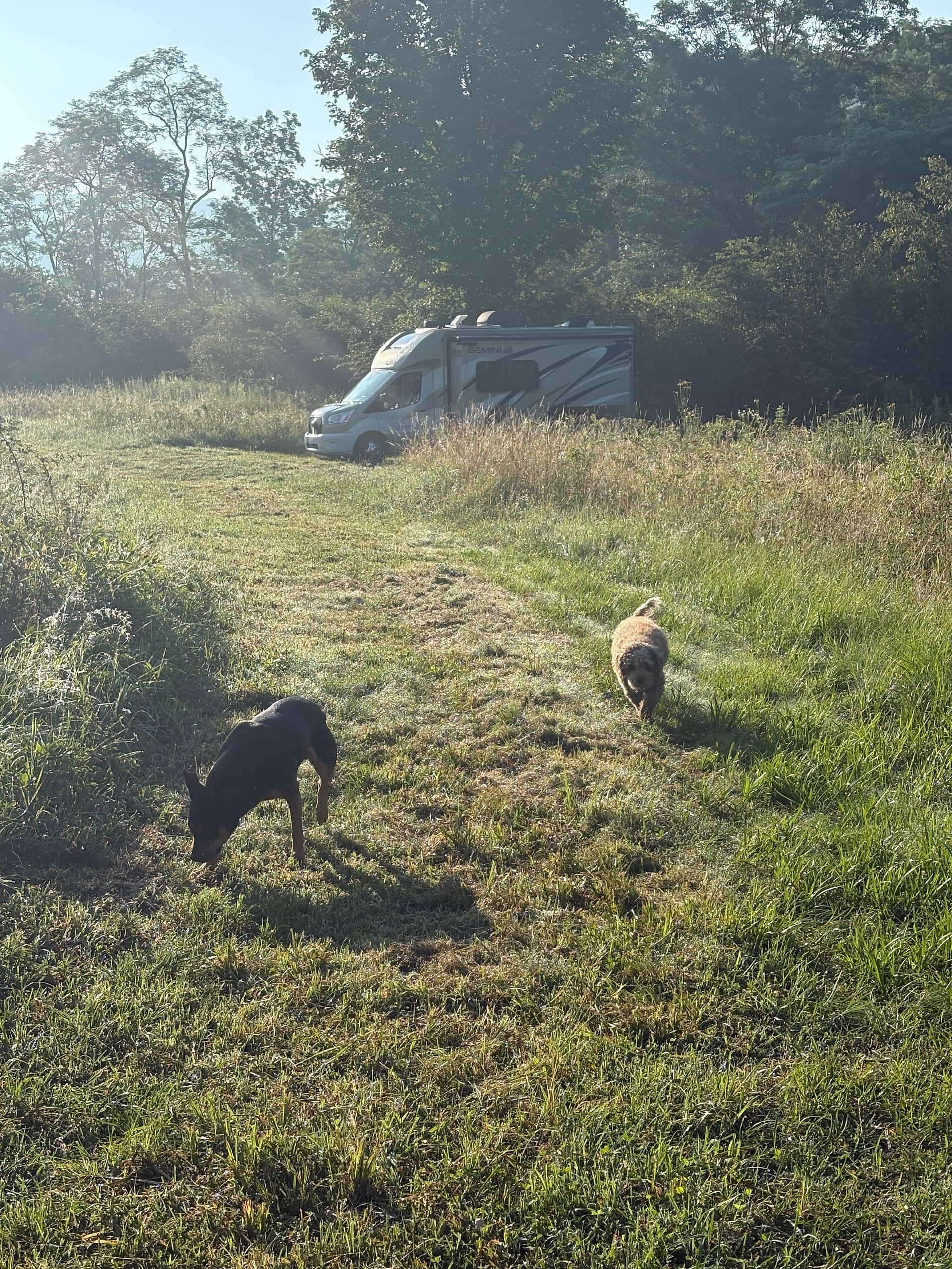 Picture of the site