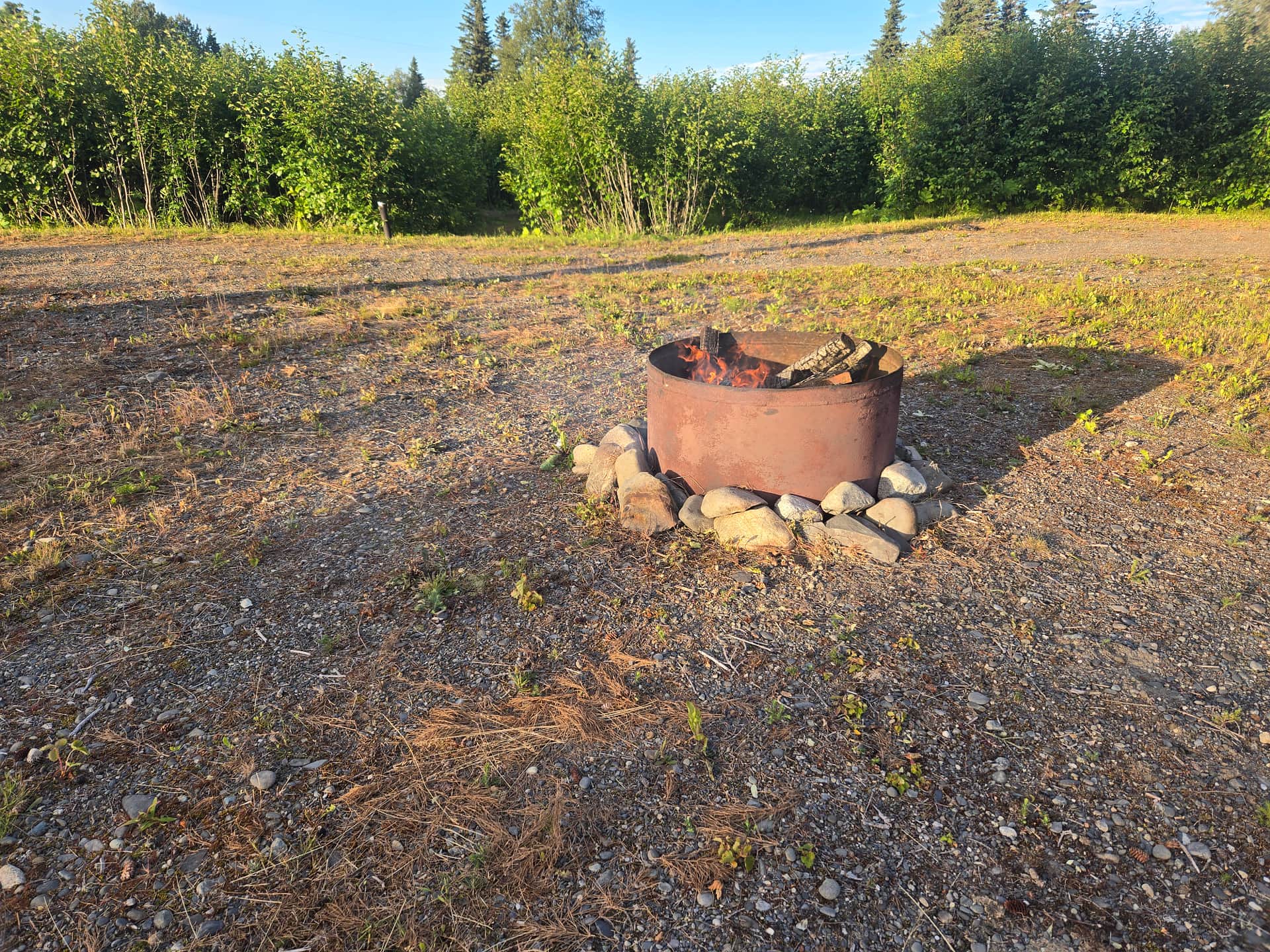Picture of the site