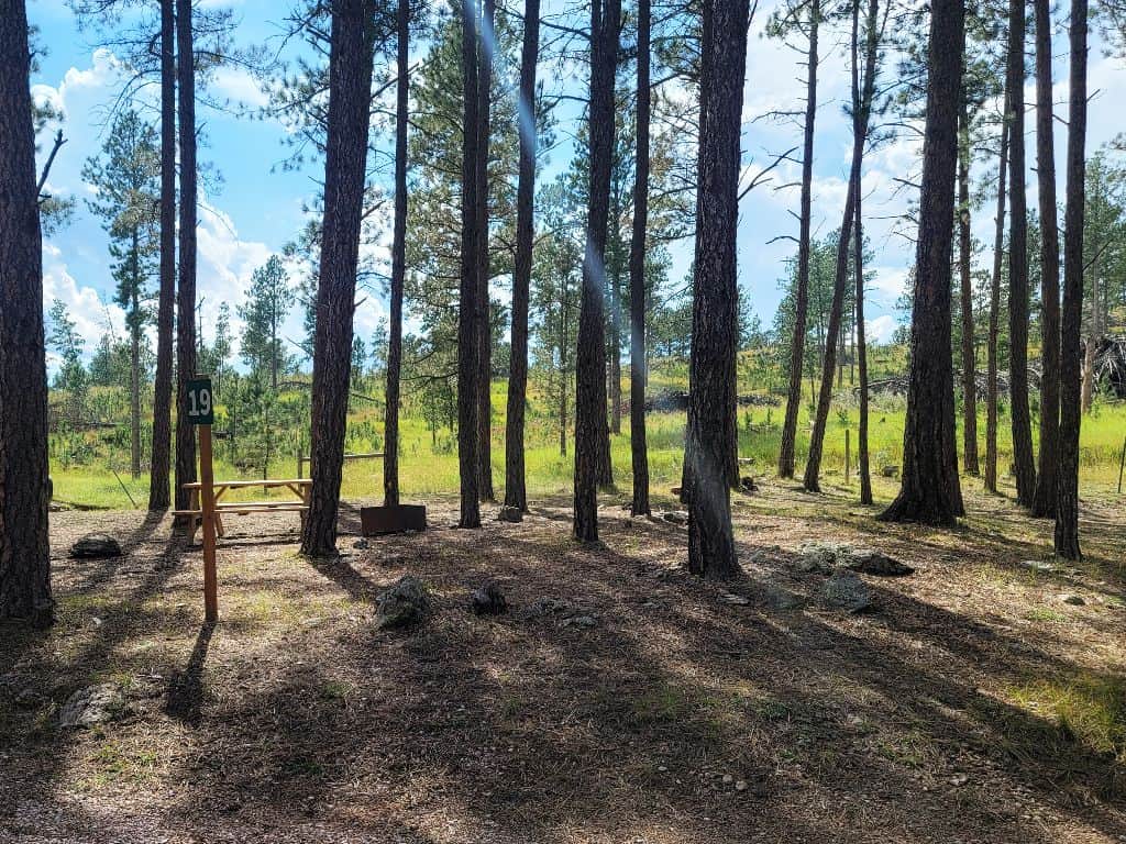 Picture of the site