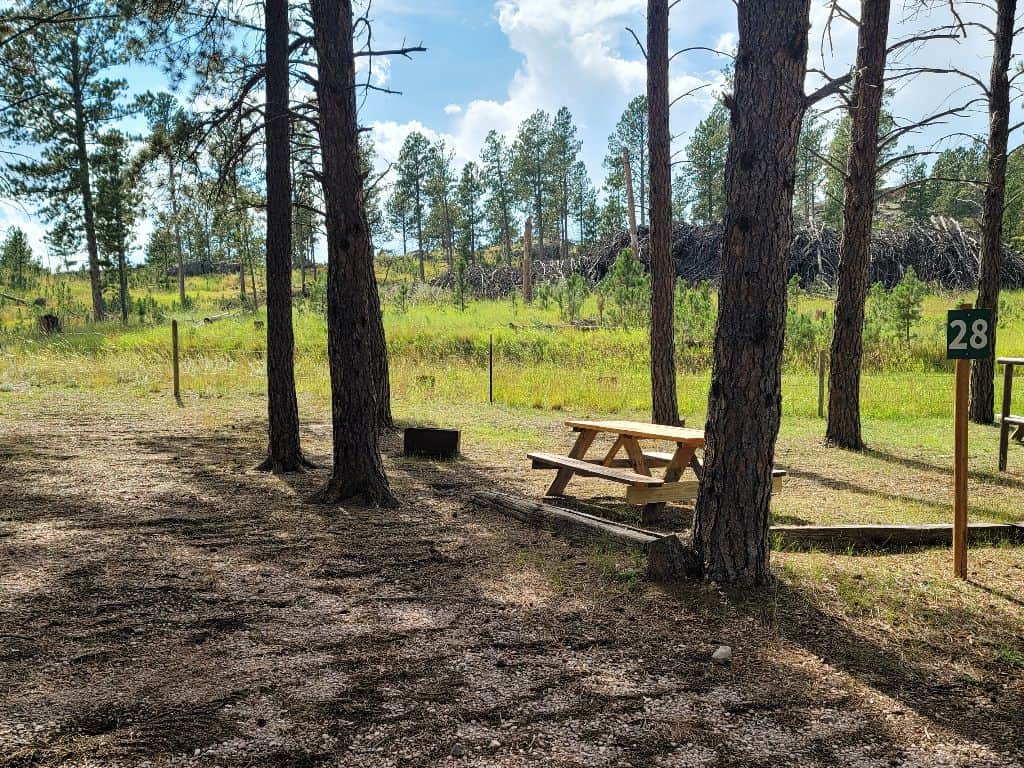 Picture of the site
