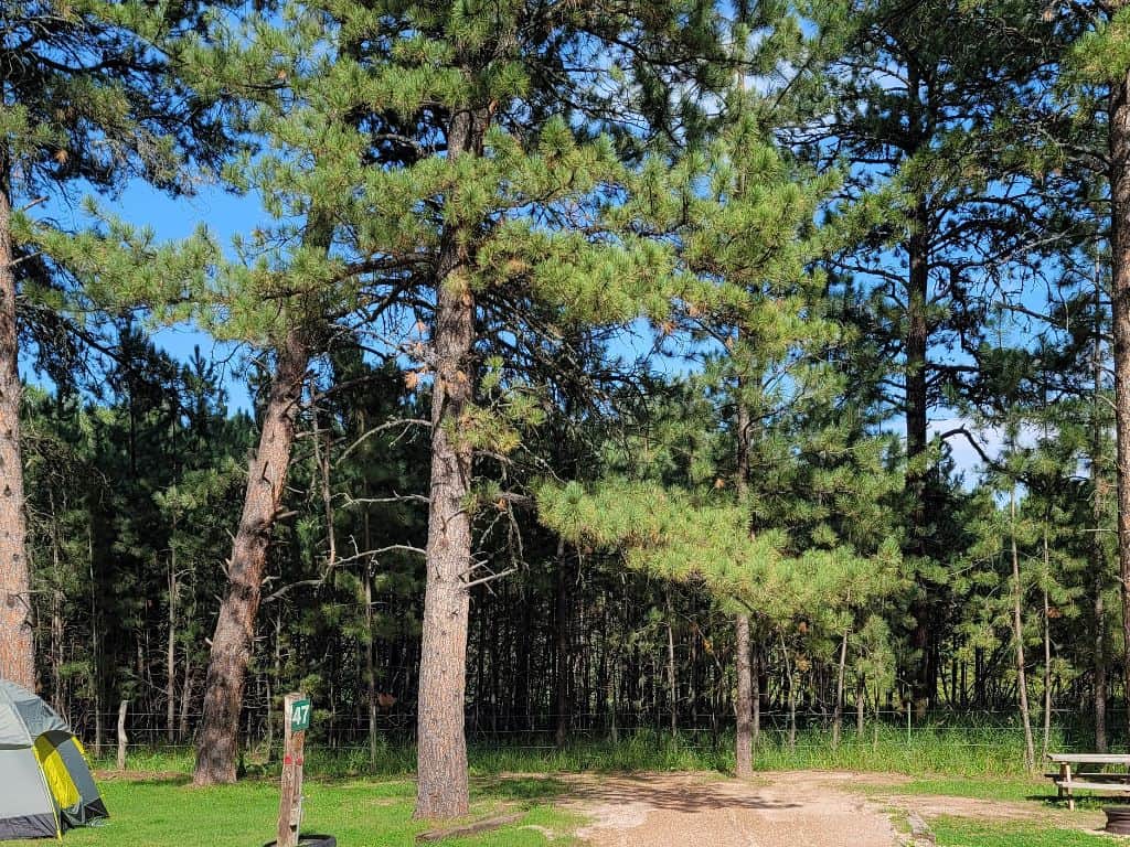 Picture of the site