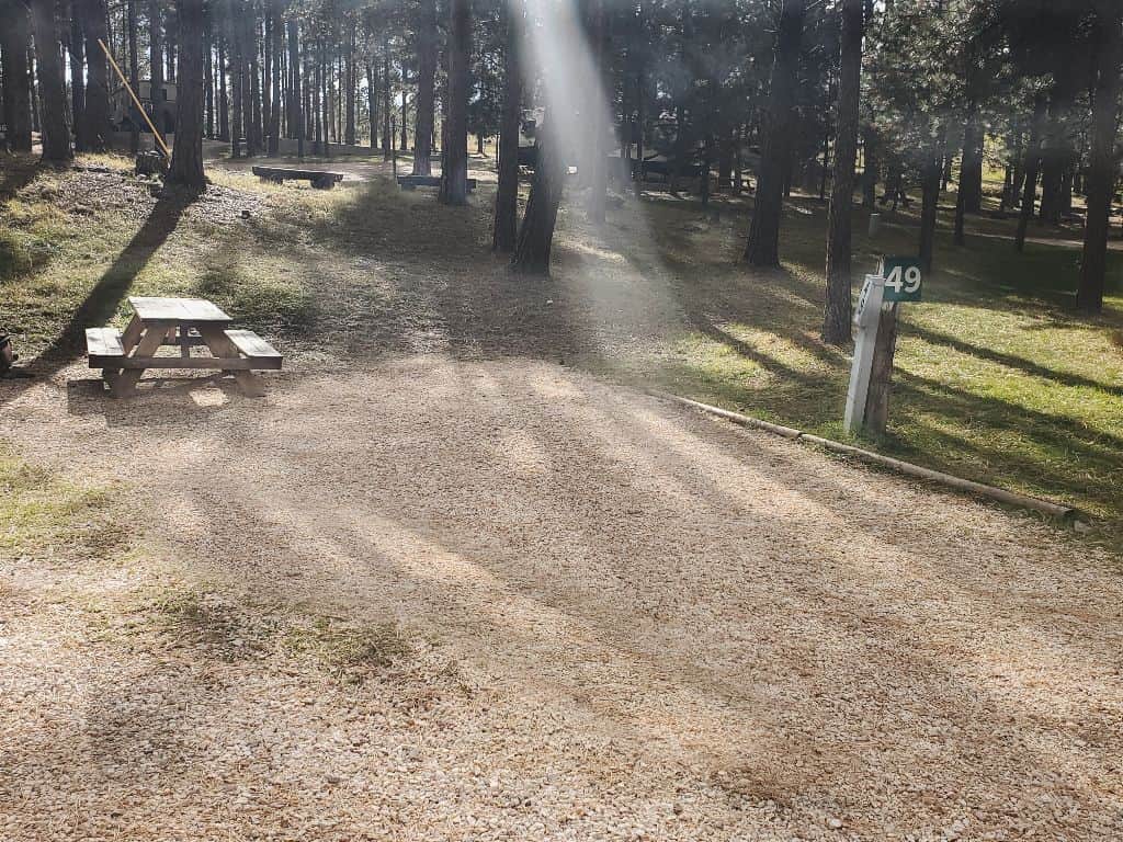 Picture of the site