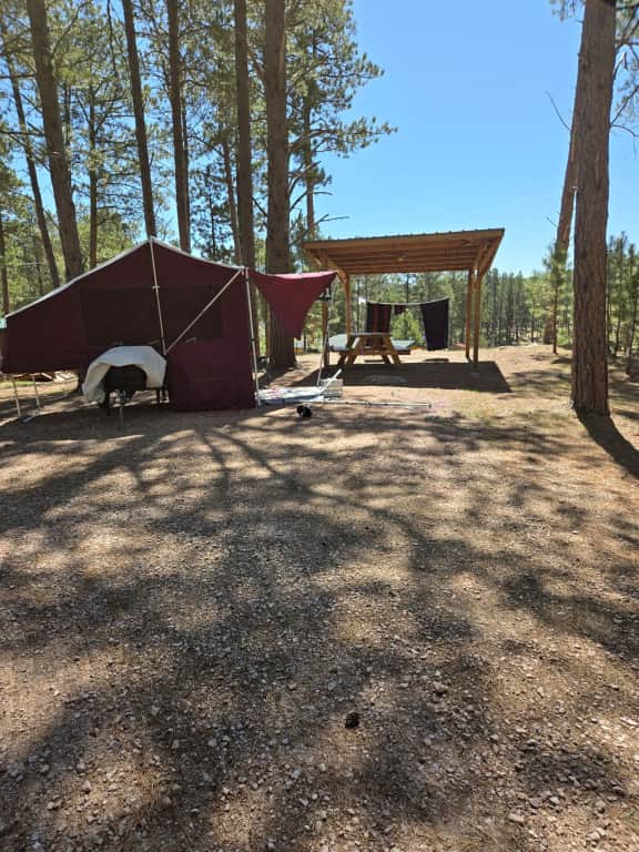 Picture of the site