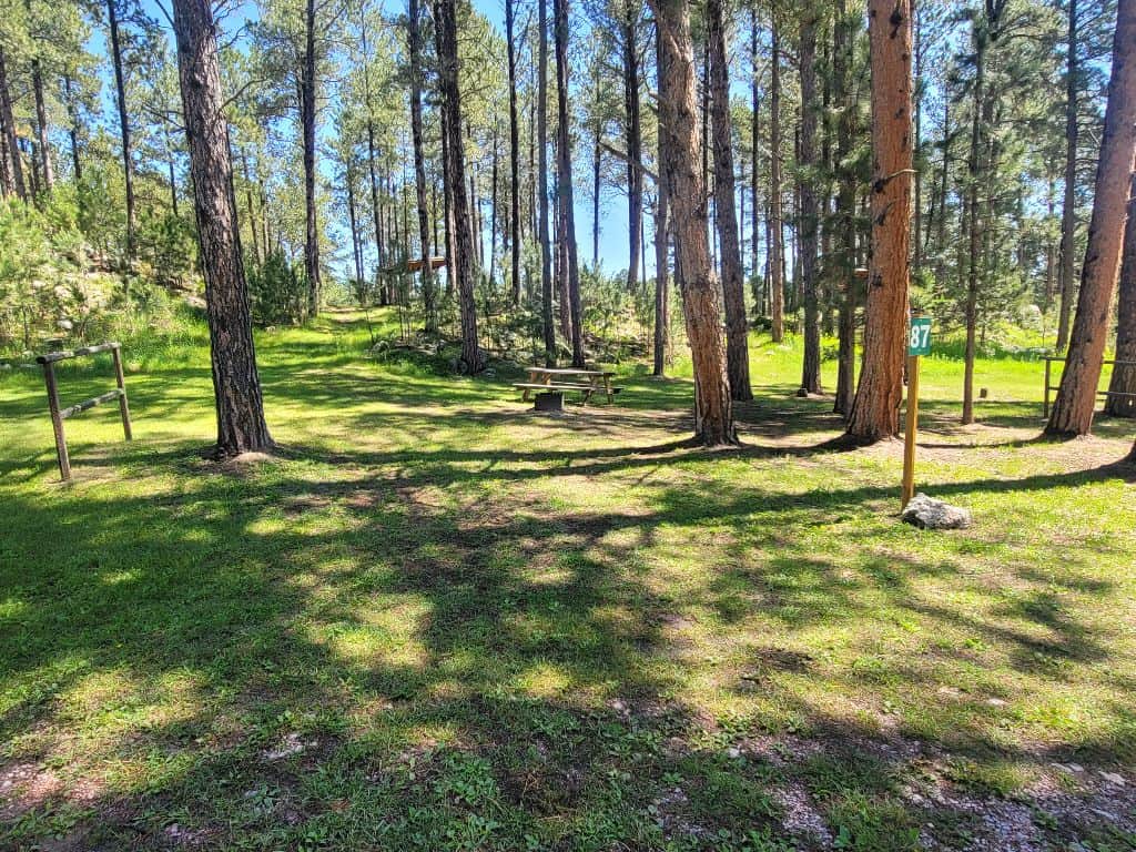 Picture of the site