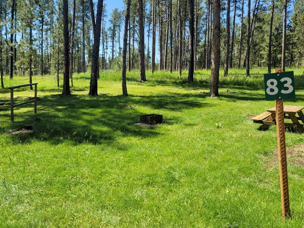 Picture of the site