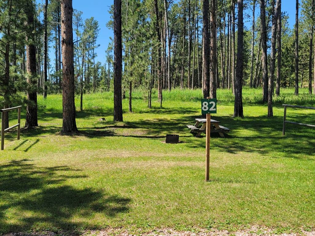 Picture of the site