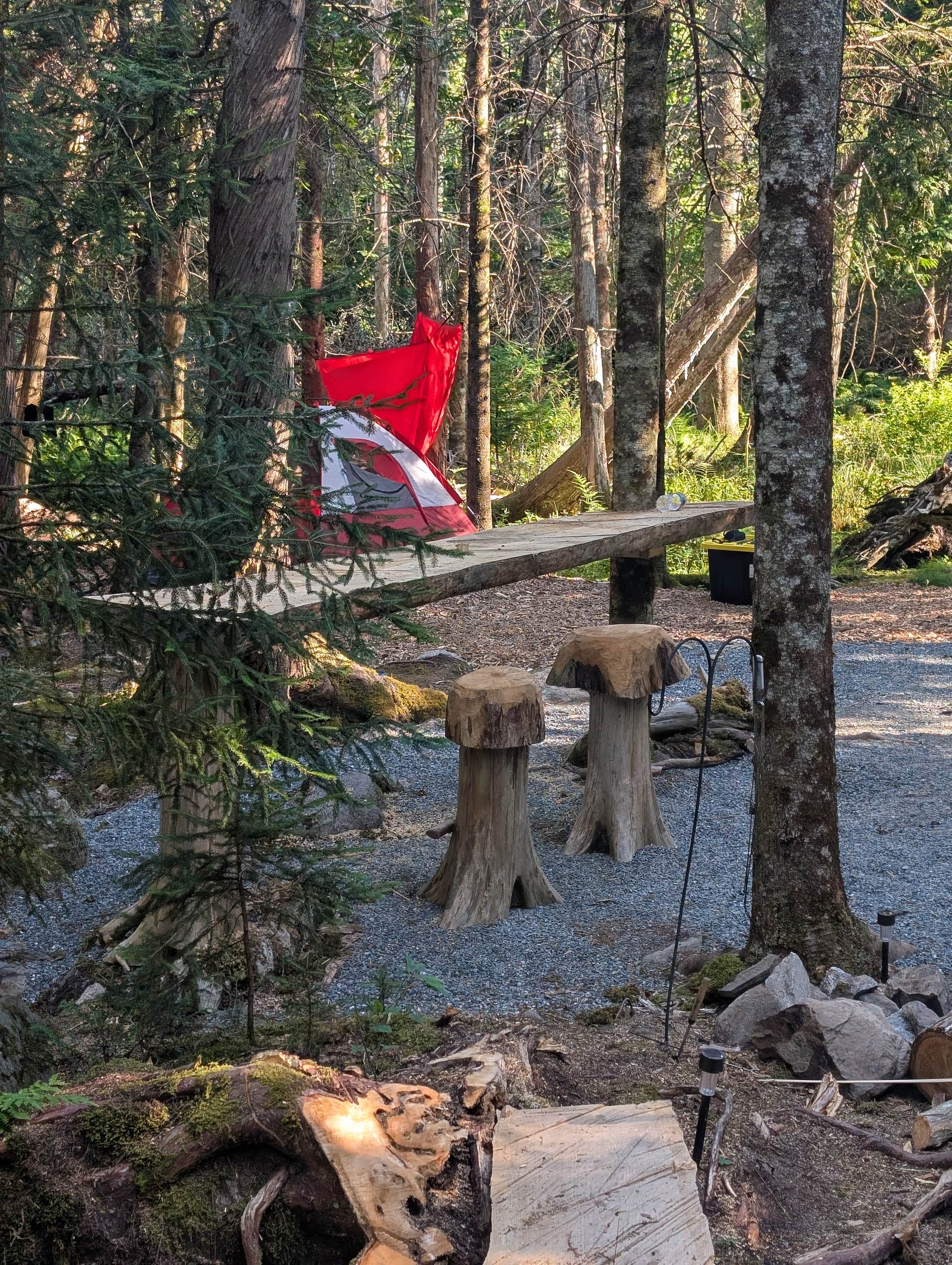 Picture of the site