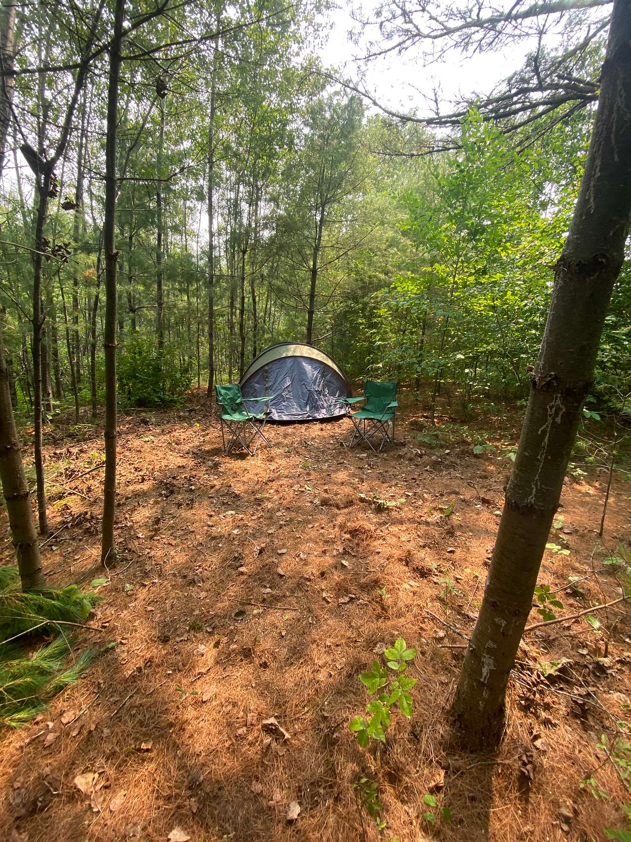 Picture of the site