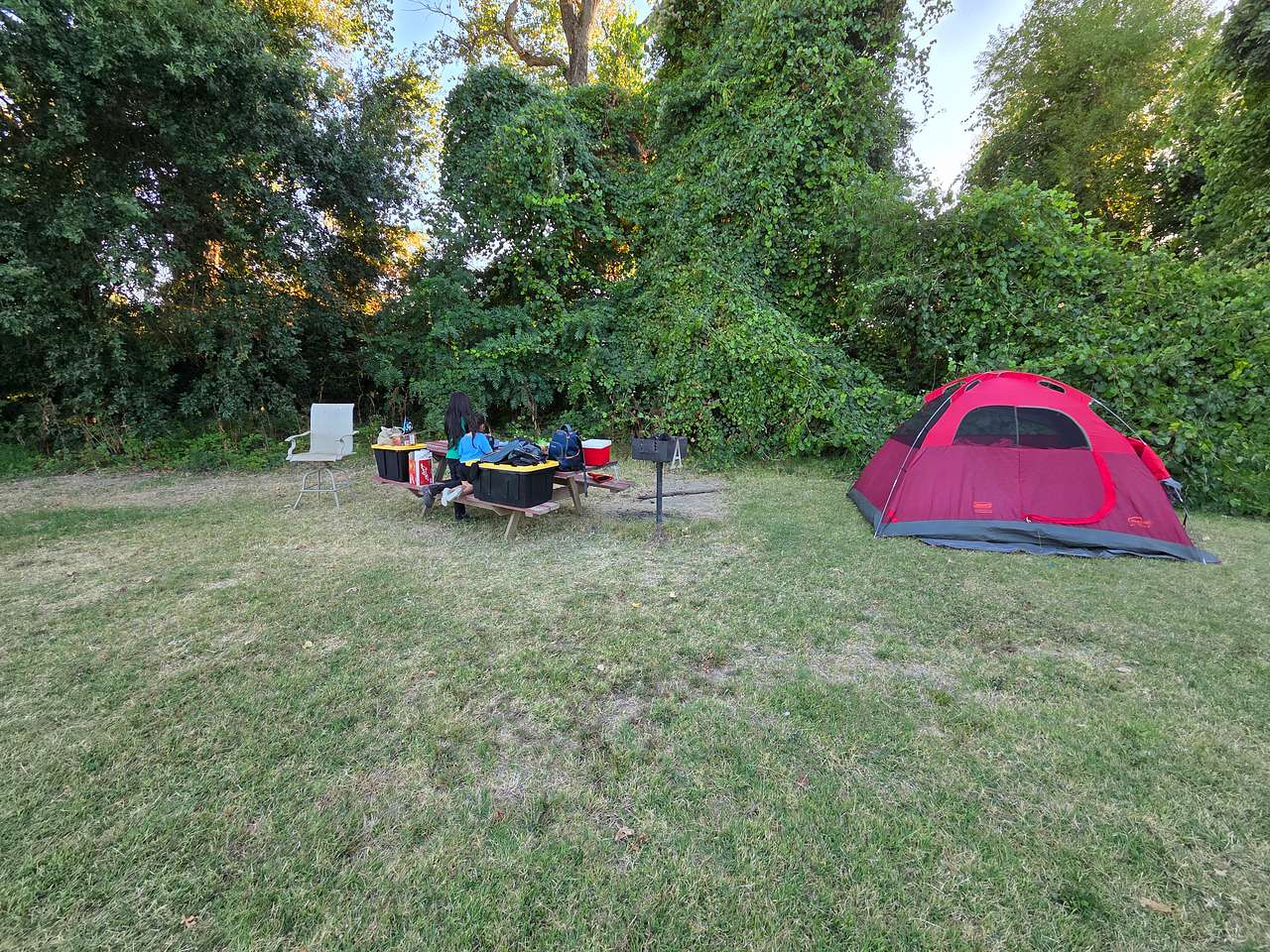 Picture of the site