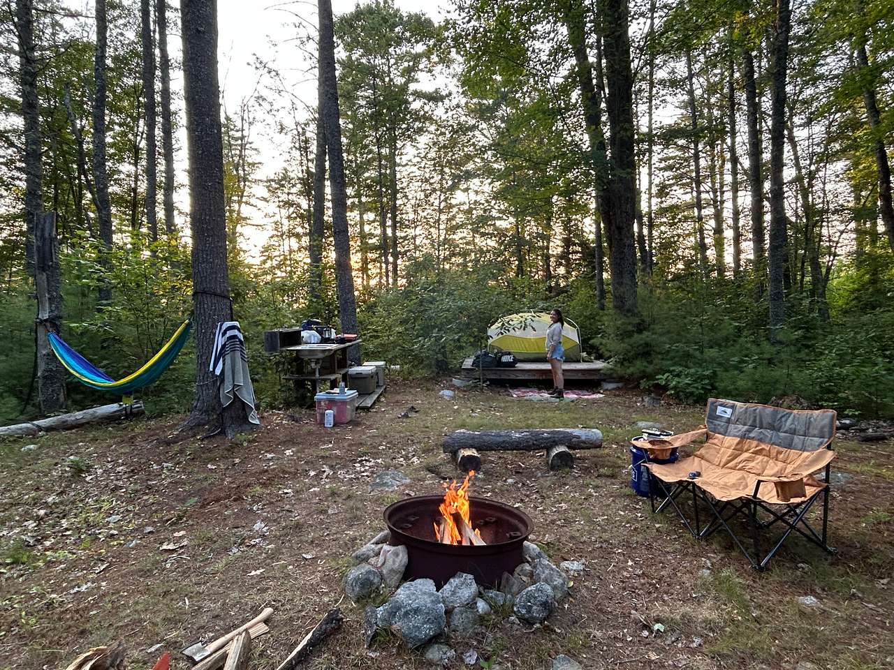 Picture of the site