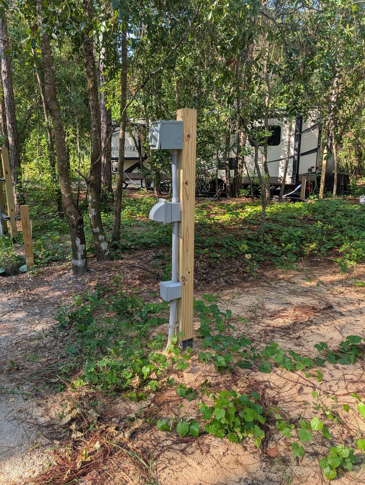 Picture of the site