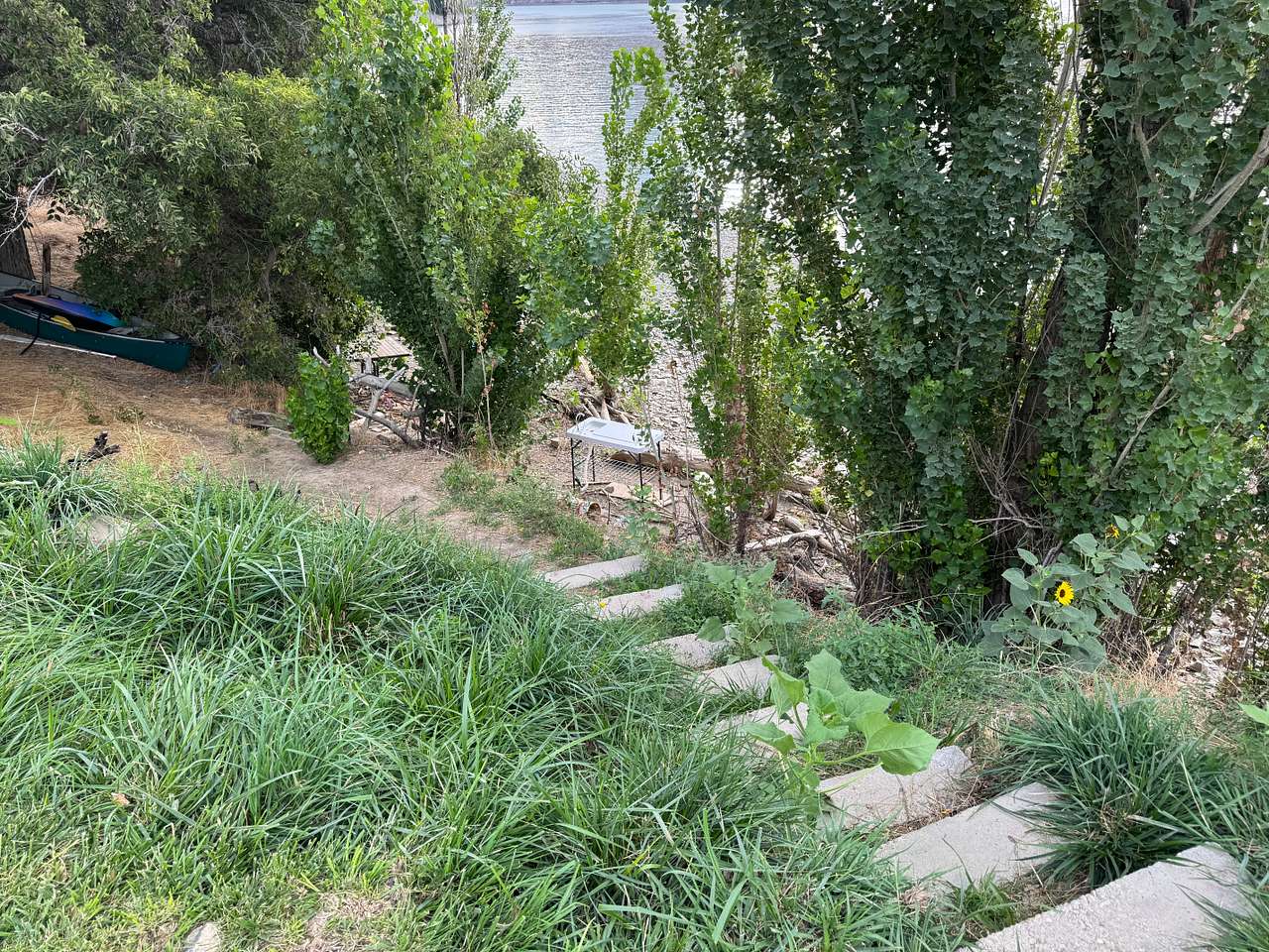 Picture of the site