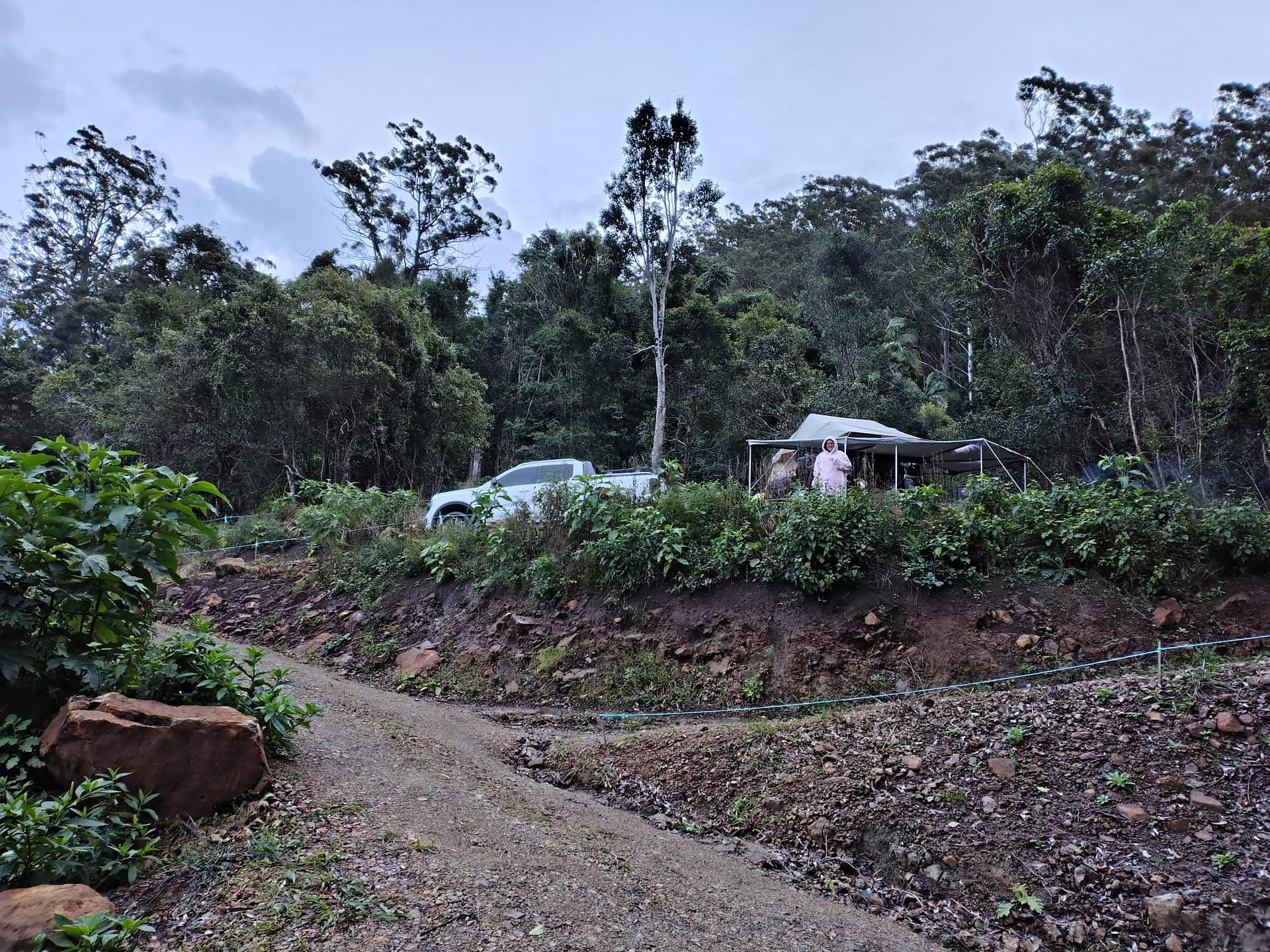 Picture of the site