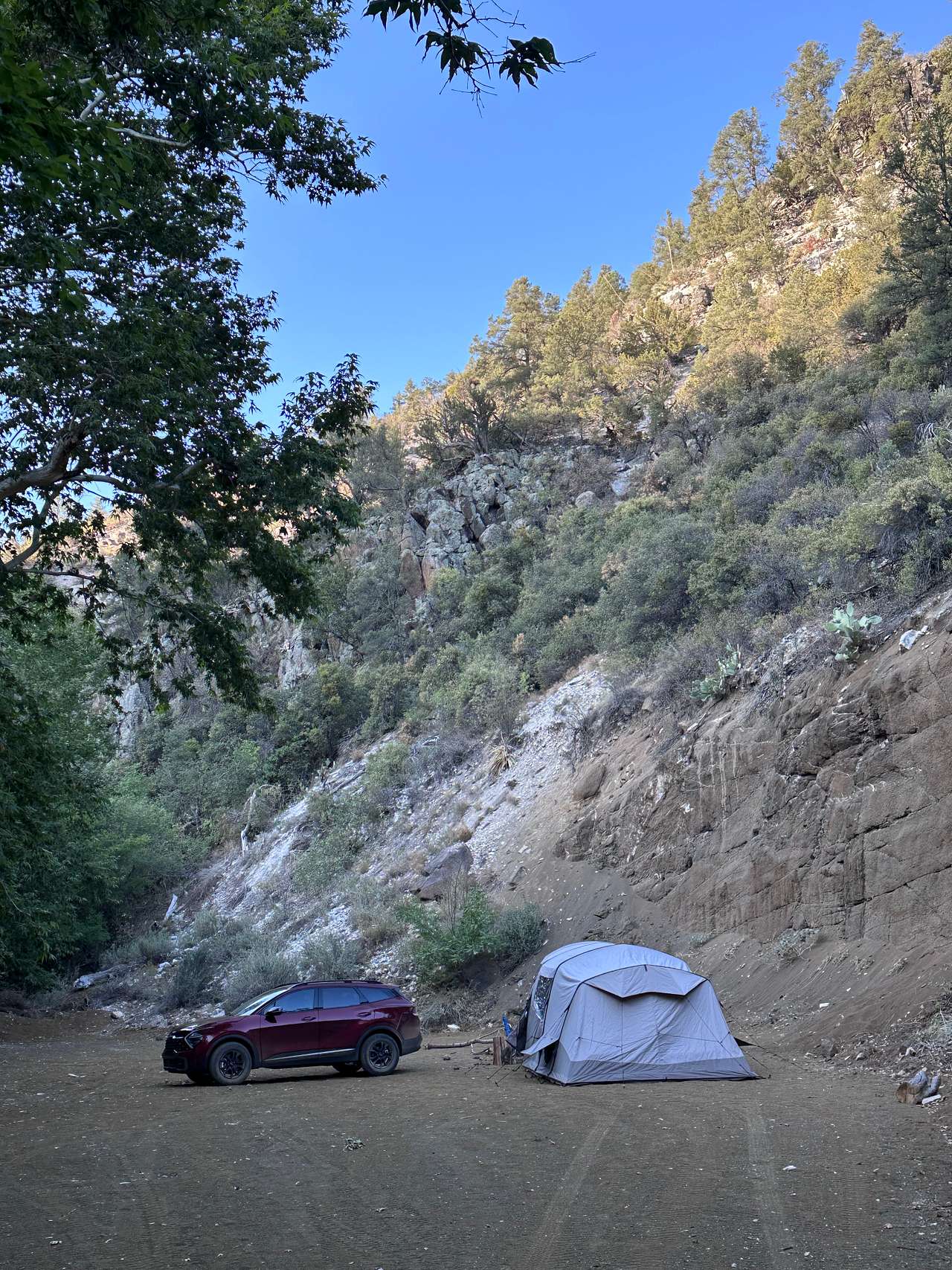Picture of the site