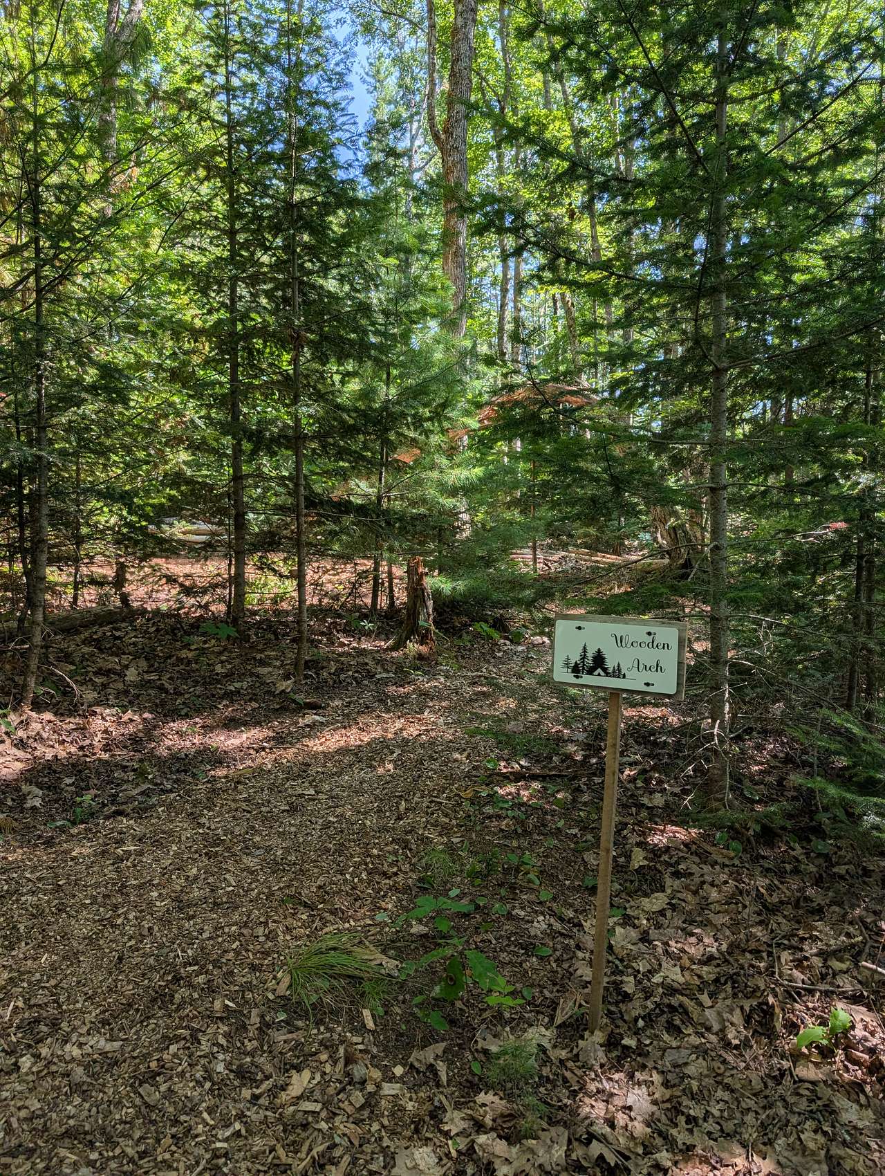 Picture of the site