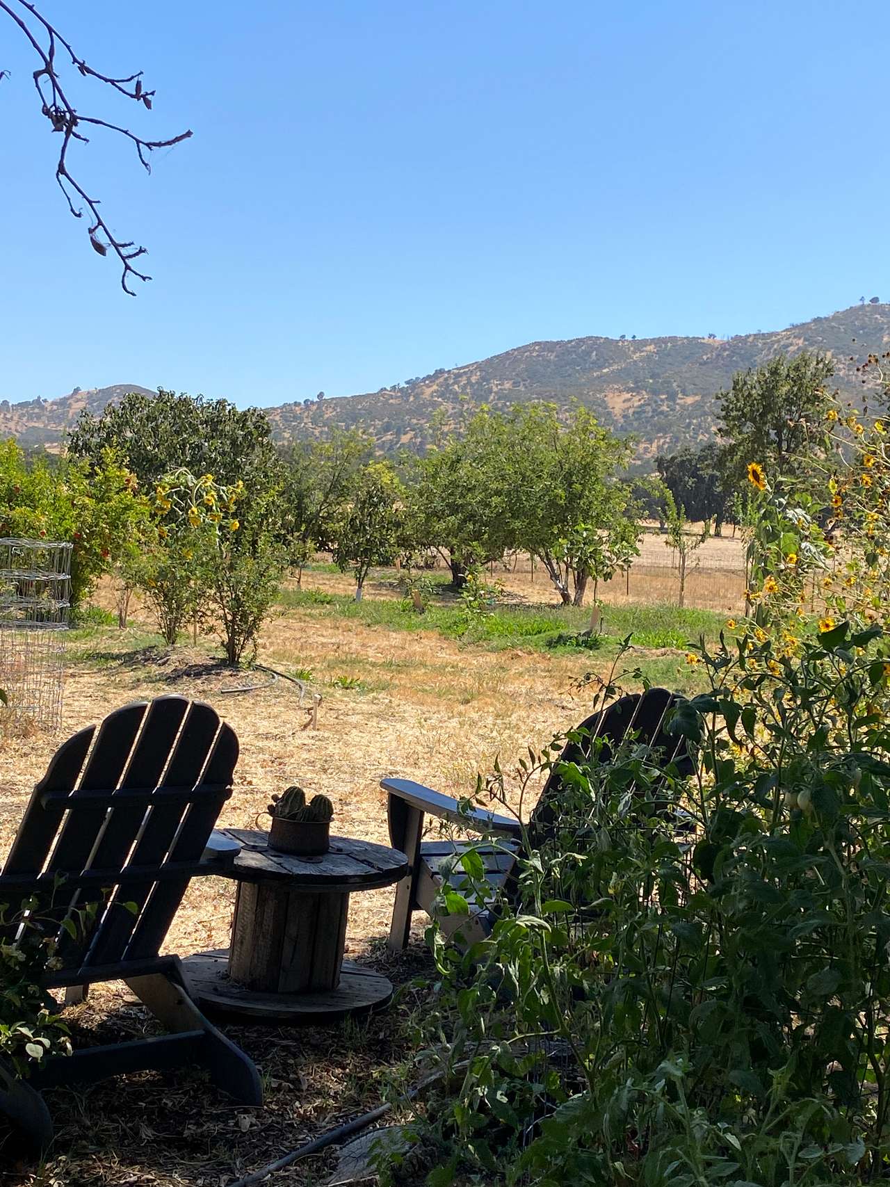 Picture of the site