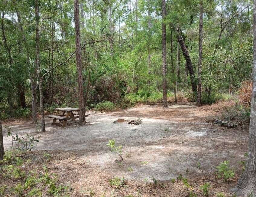 Picture of the site