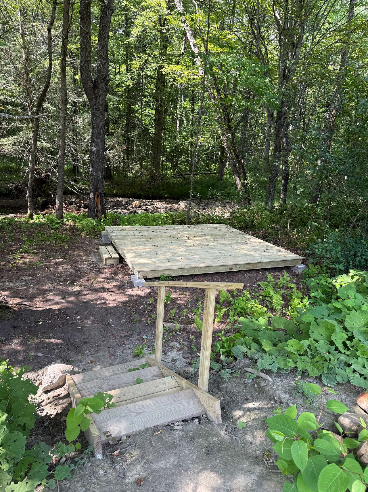 Picture of the site