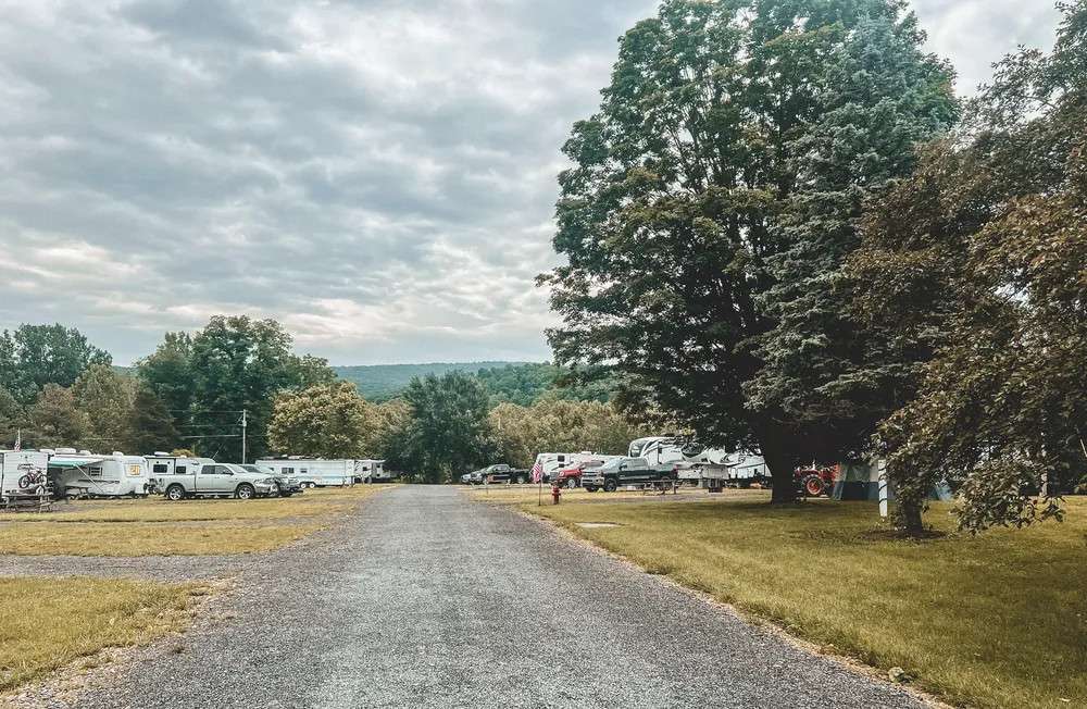 Picture of the site
