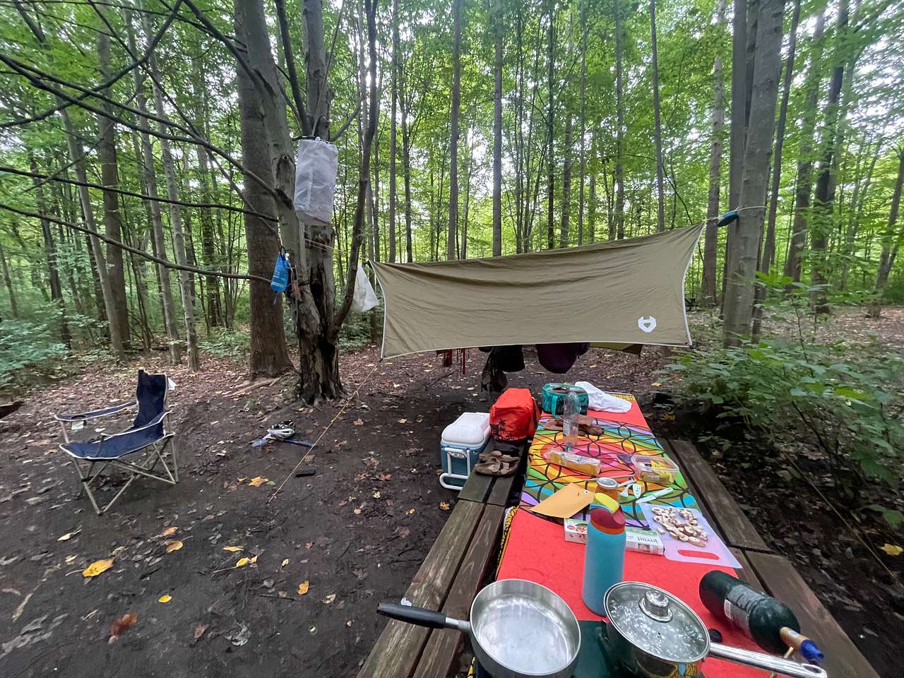 Picture of the site