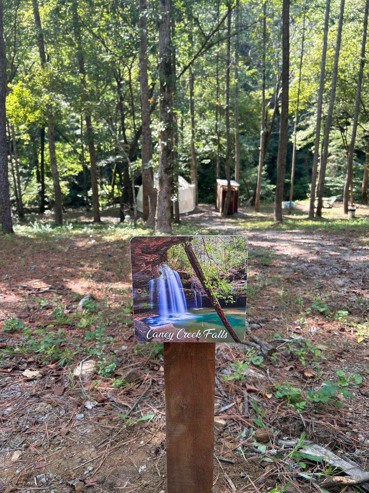 Picture of the site