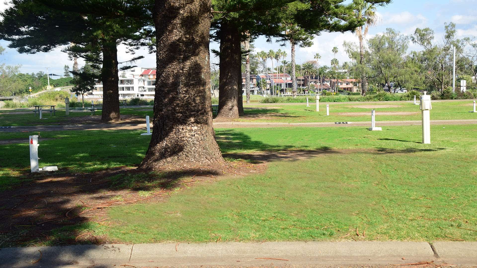 Picture of the site