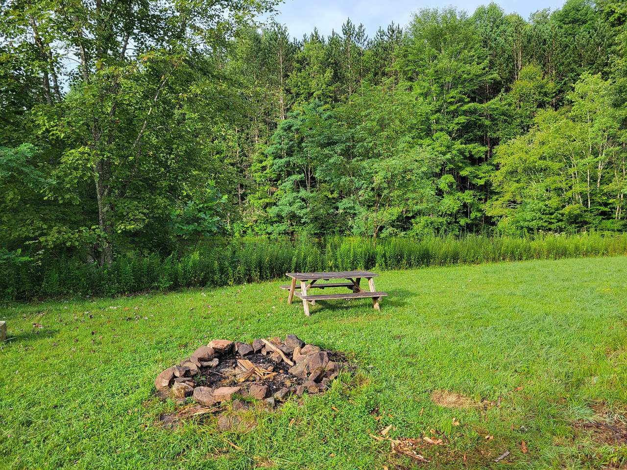Picture of the site