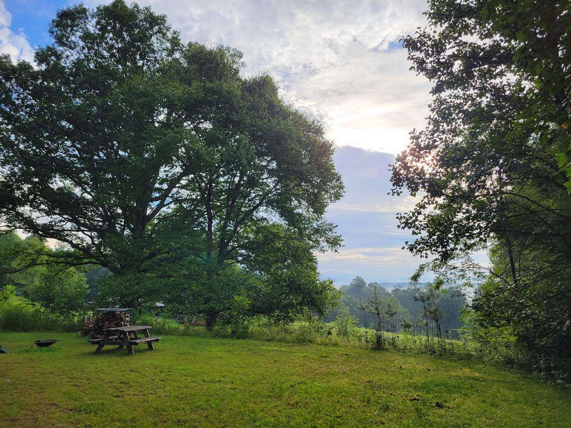 View more photos of Yew Mountain Center 500-Acre Nature Sanctuary