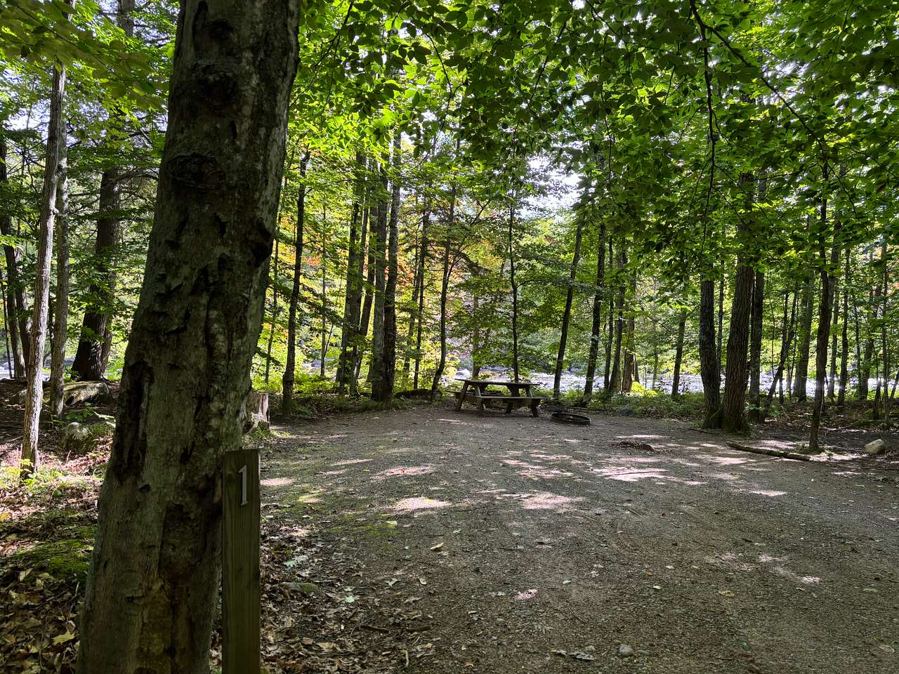 Picture of the site
