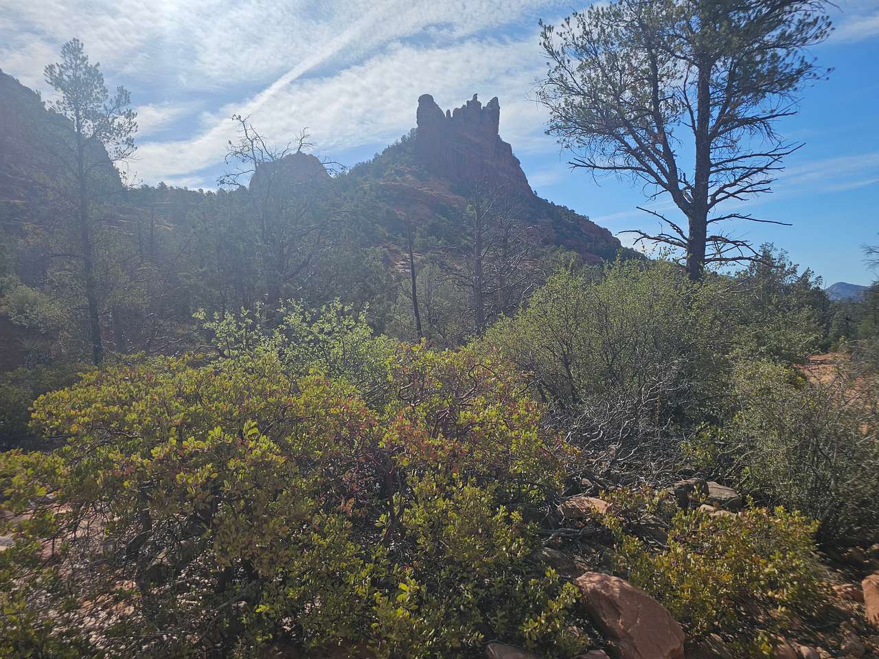 Picture of the site