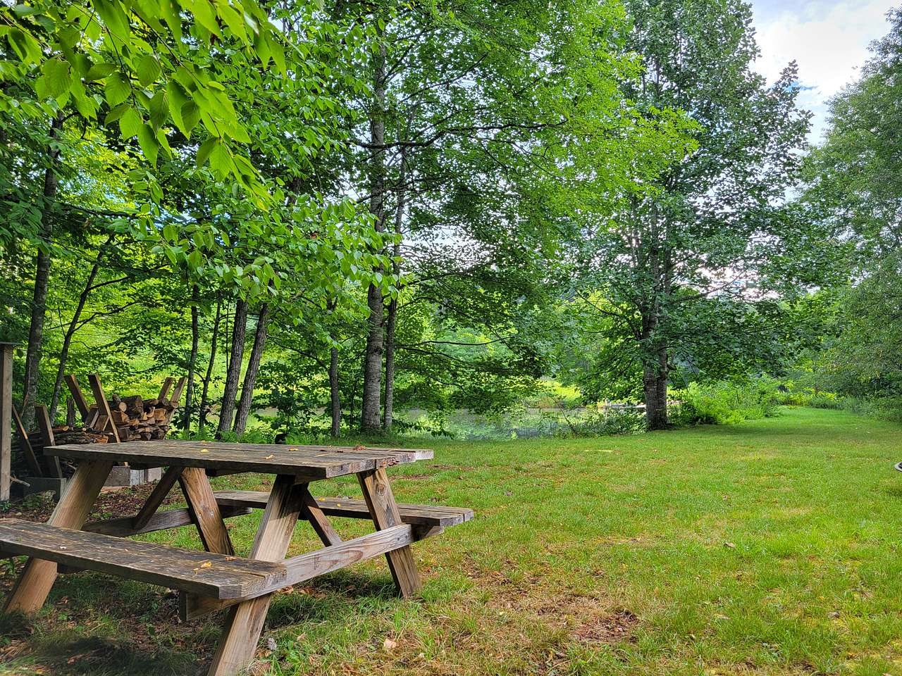 Picture of the site
