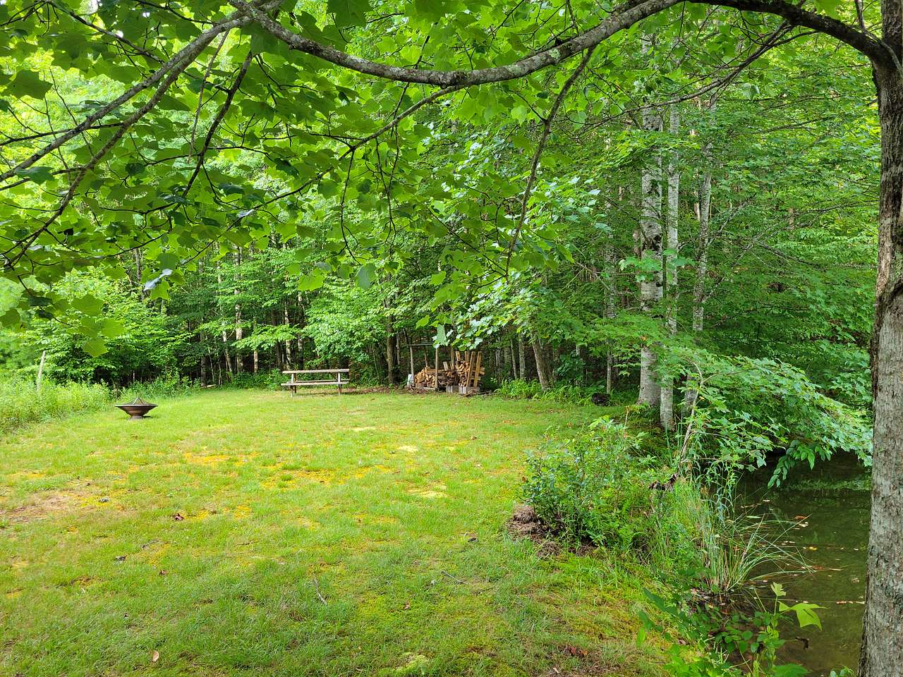 Picture of the site