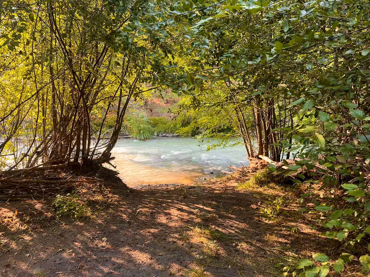 Picture of the site