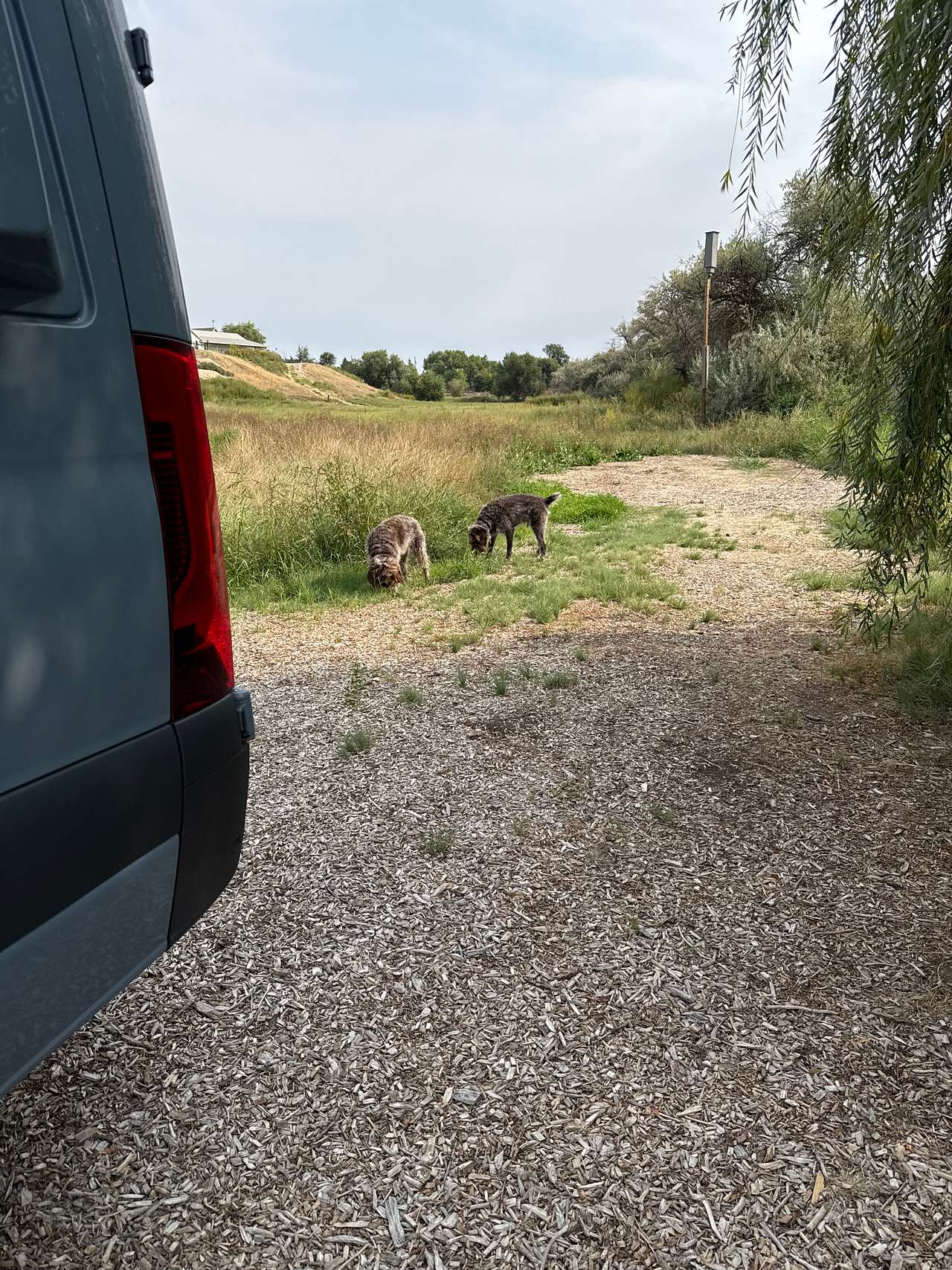 Picture of the site