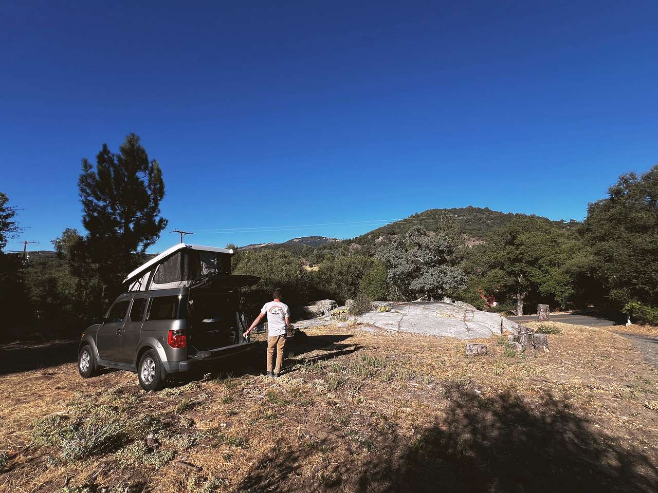 Picture of the site