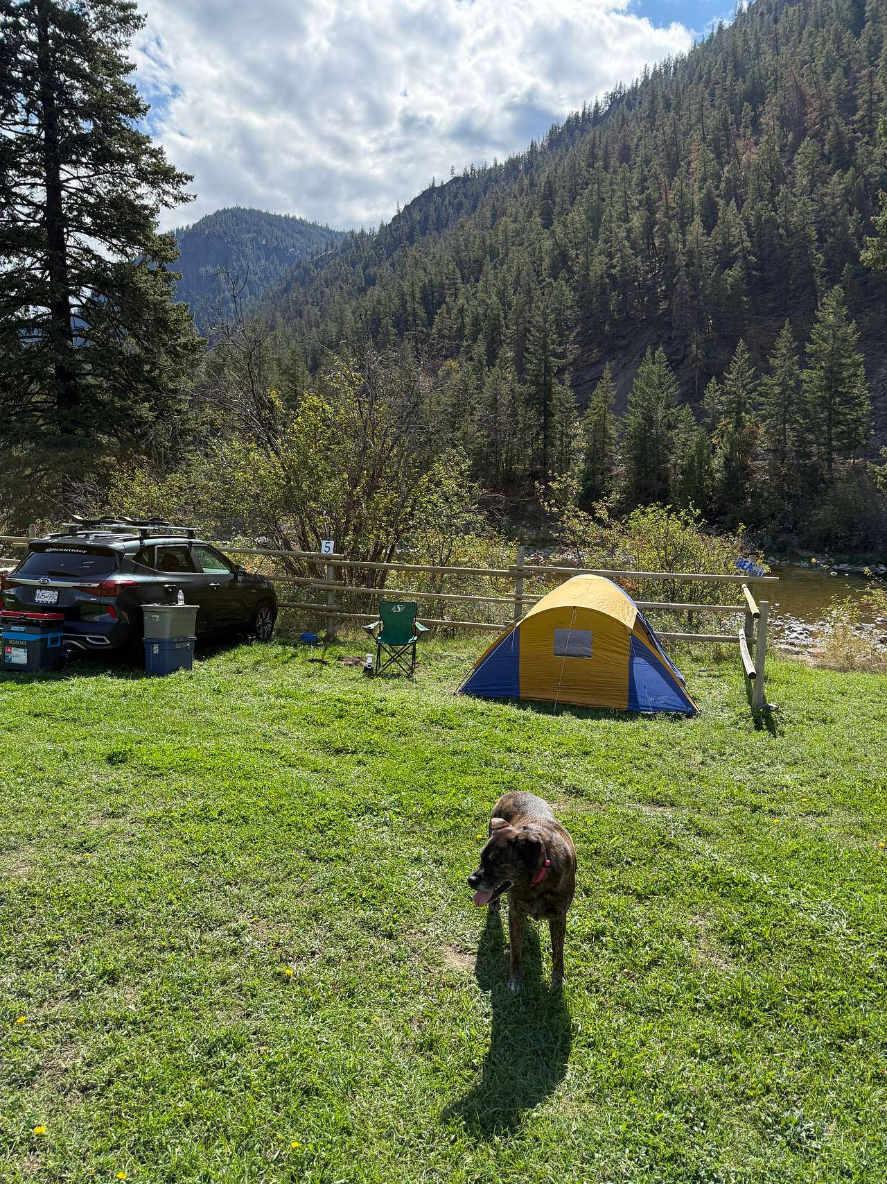 Picture of the site