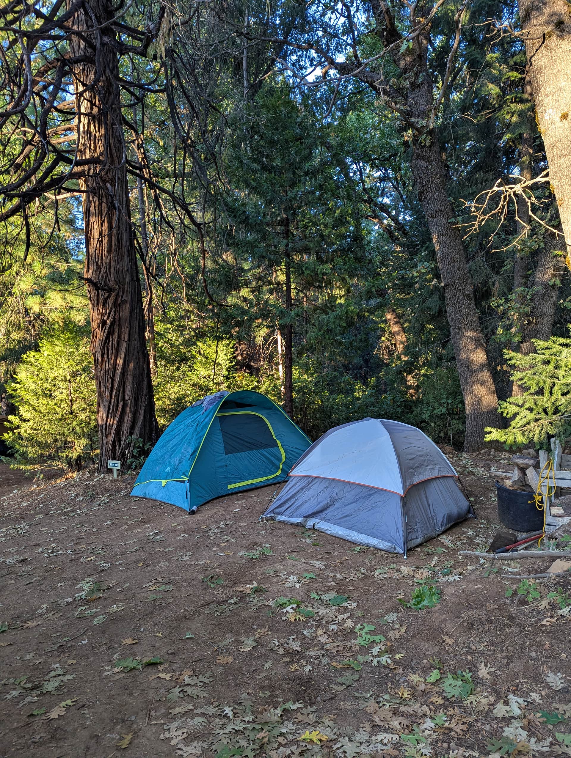 Picture of the site