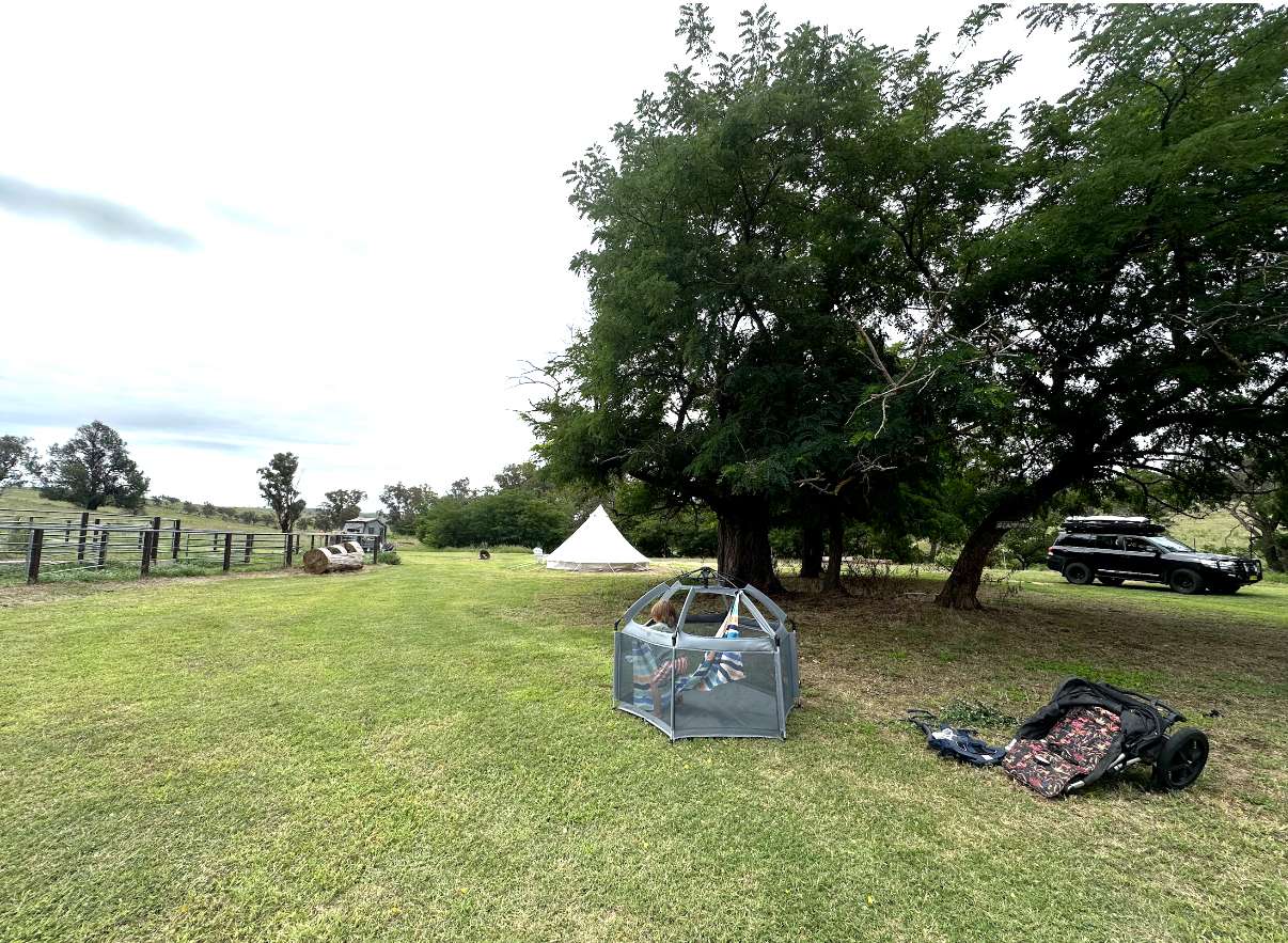 Picture of the site