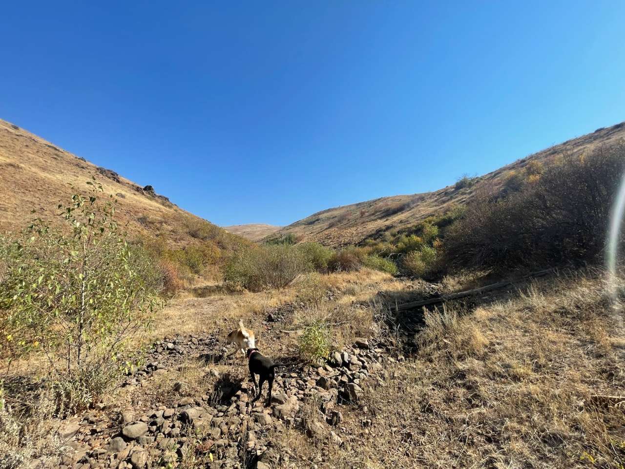 Picture of the site