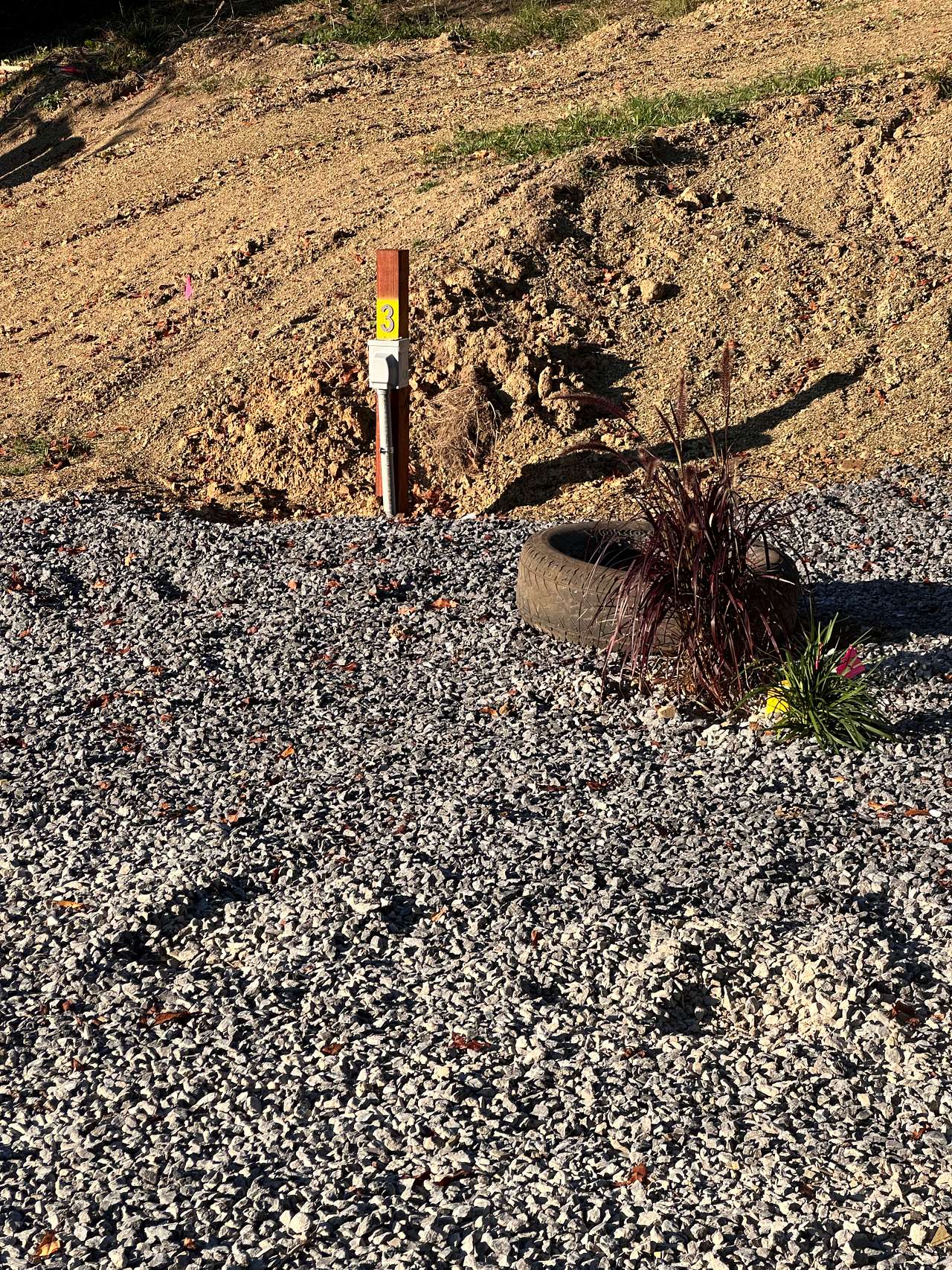 Picture of the site