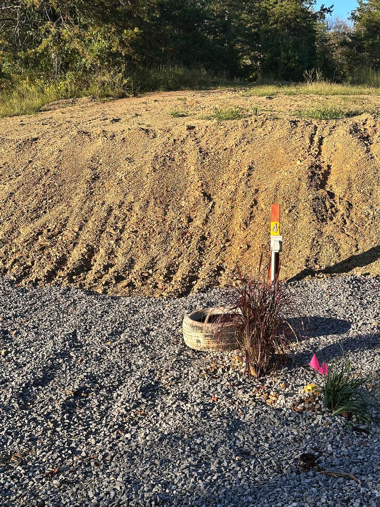 Picture of the site