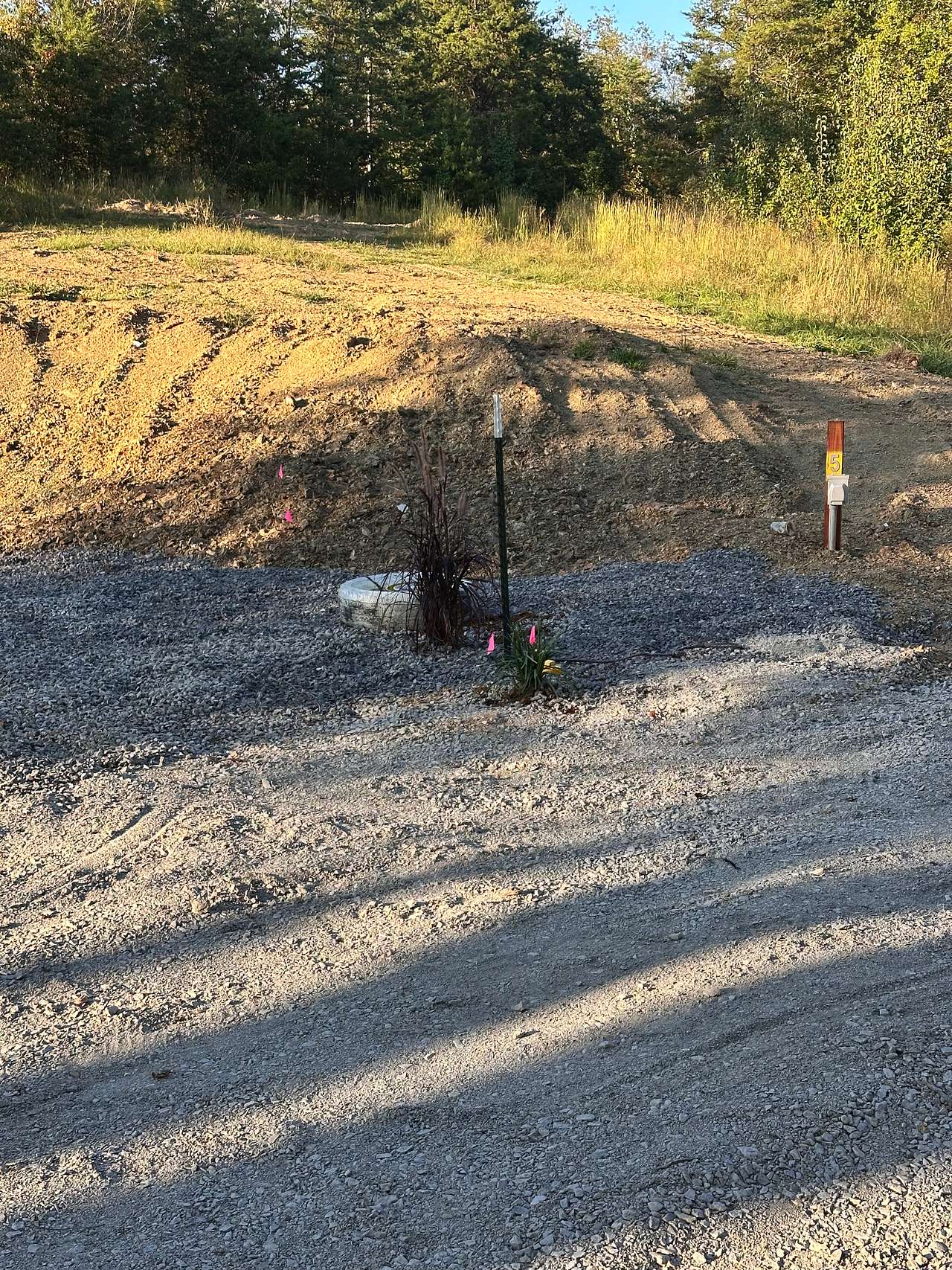 Picture of the site