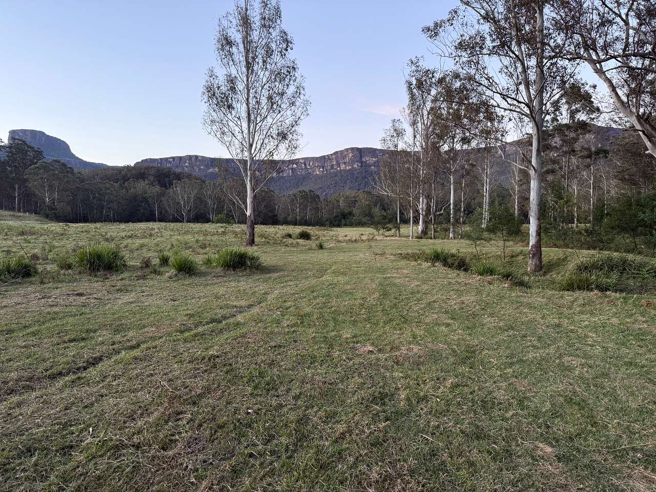 Picture of the site