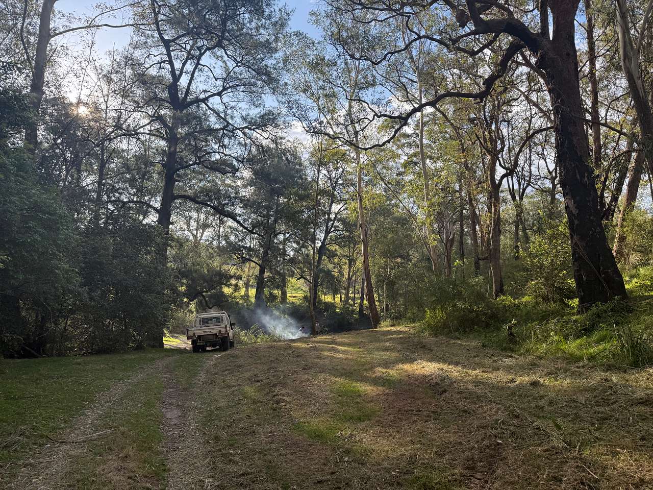 Picture of the site