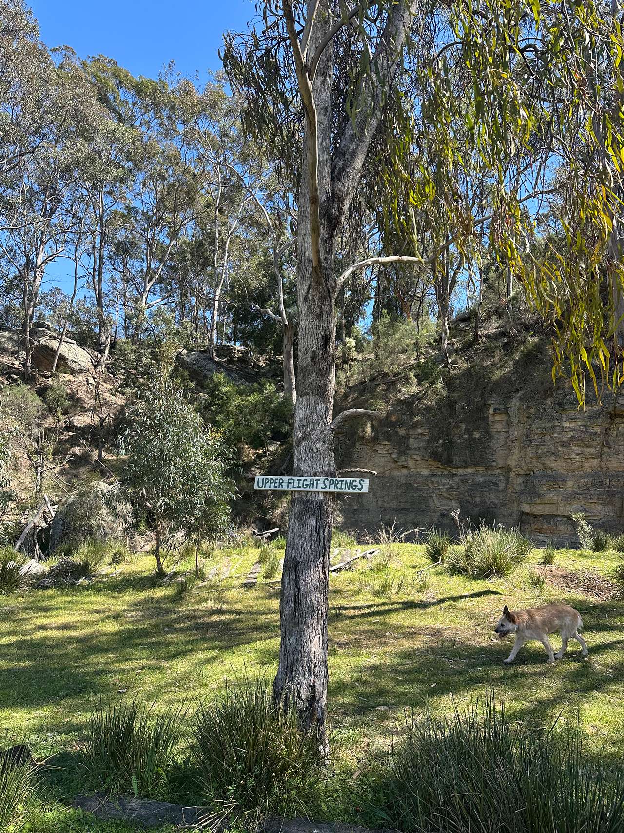 Picture of the site