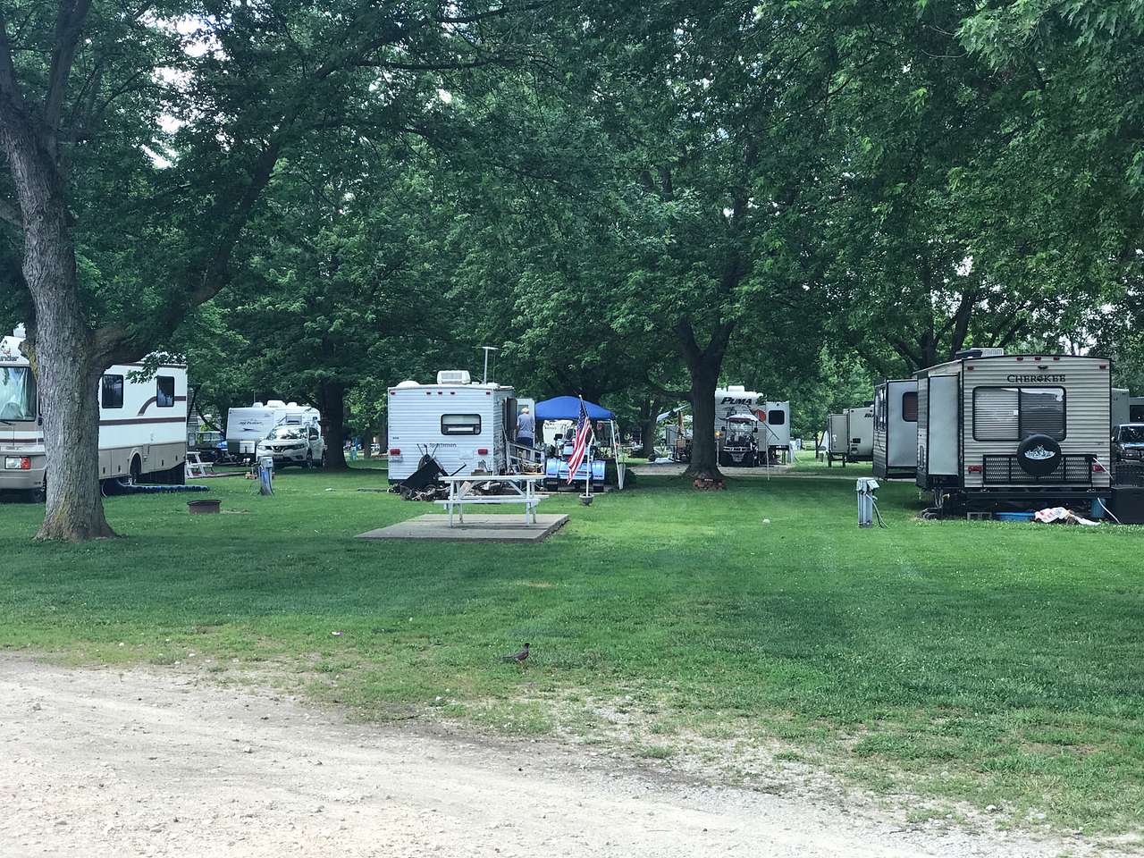 Picture of the site