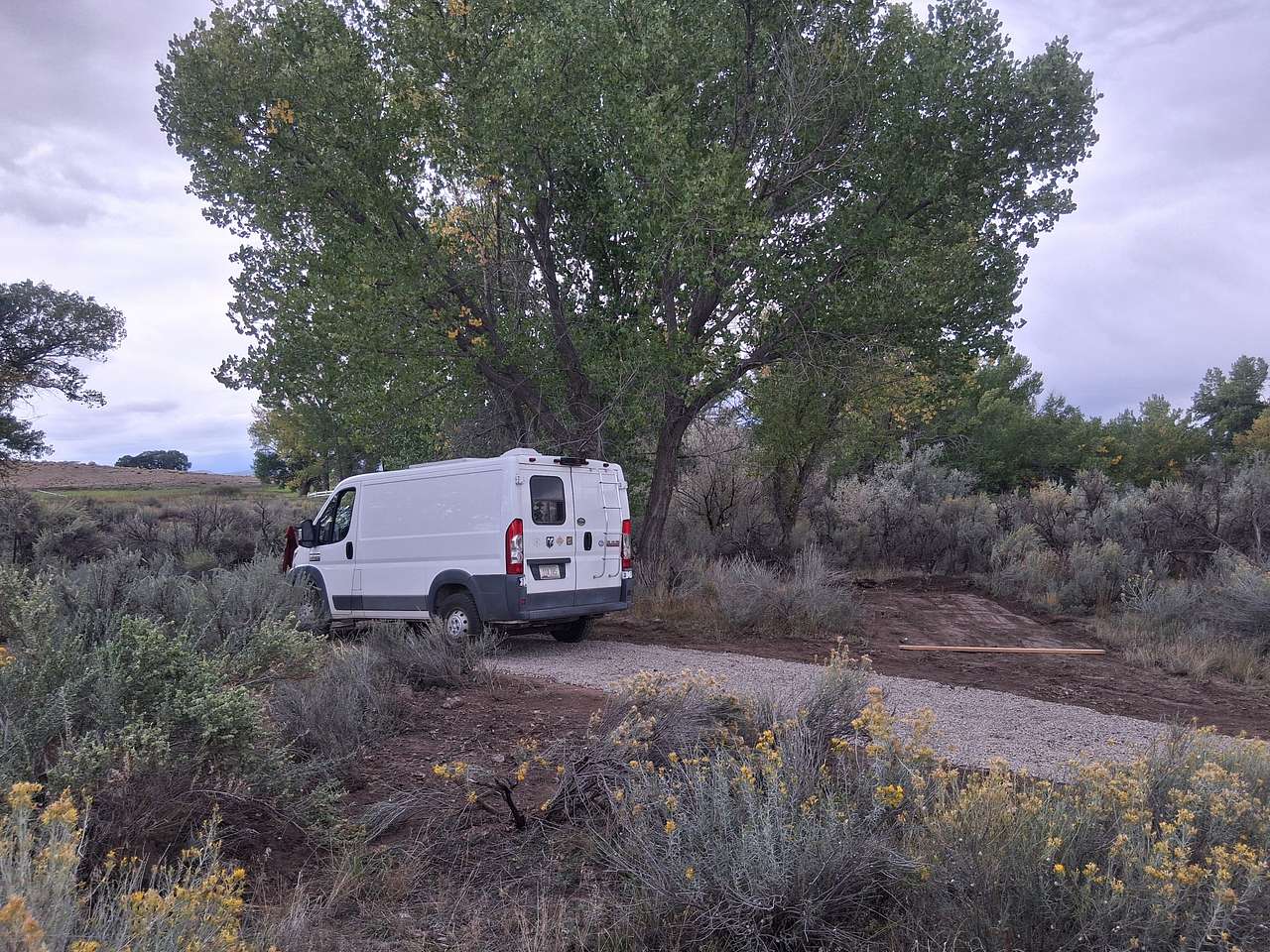 Picture of the site