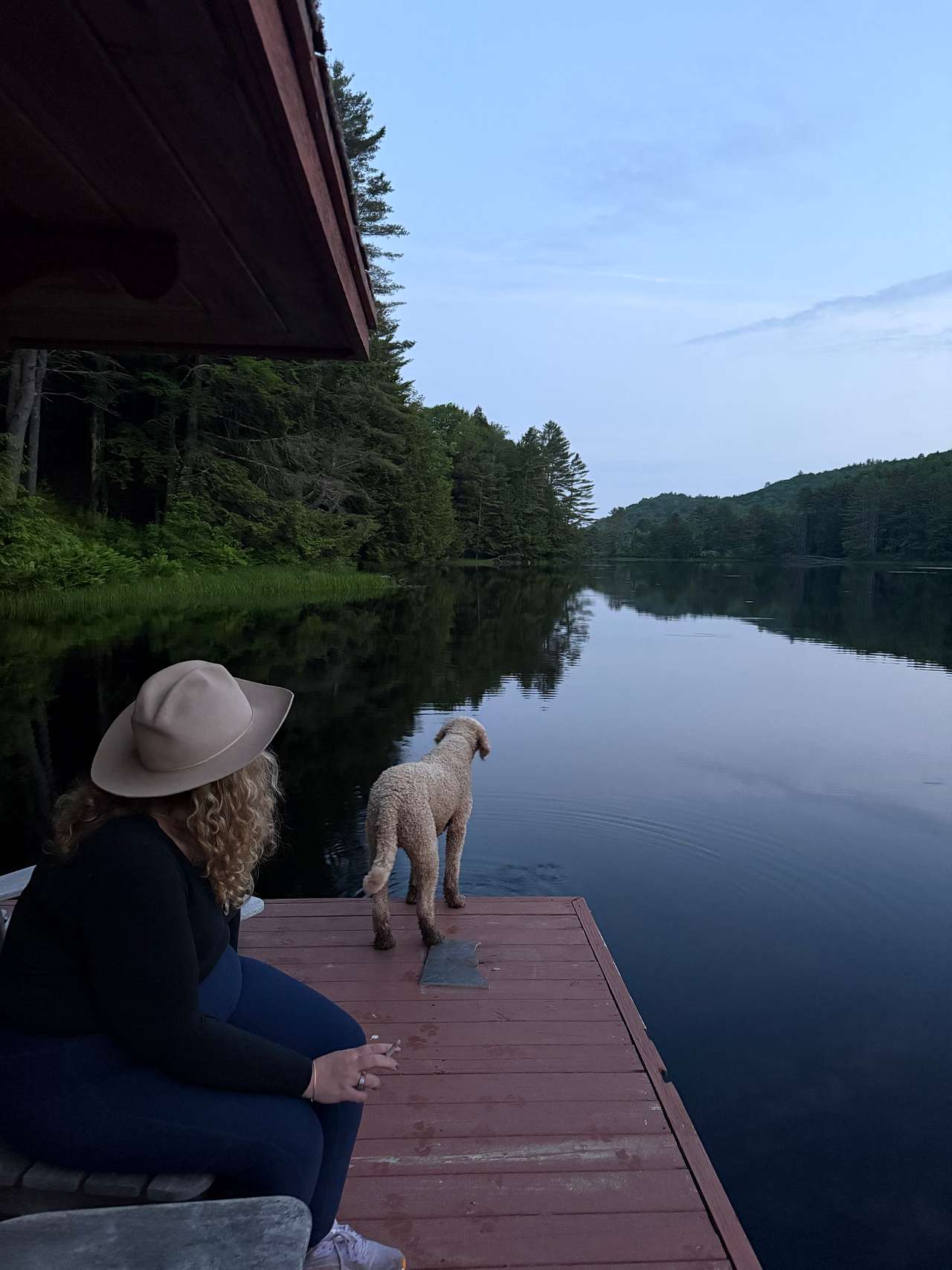 View pets photos of Mags Mountain