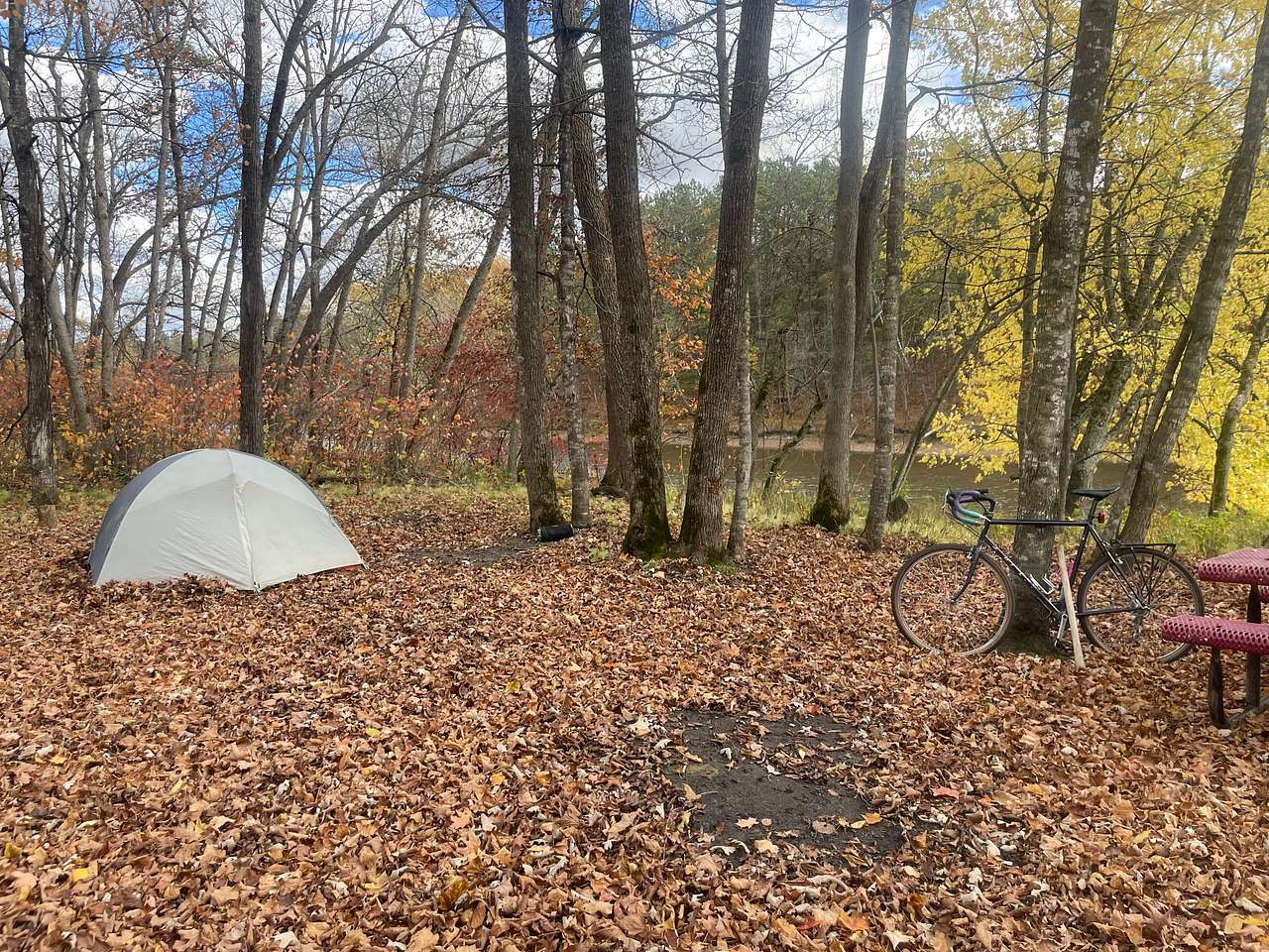 Picture of the site