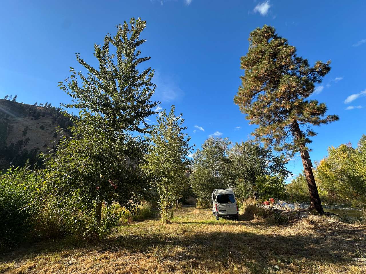 Picture of the site